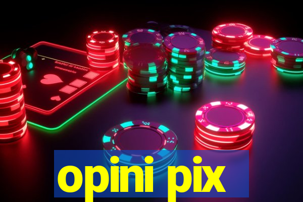 opini pix